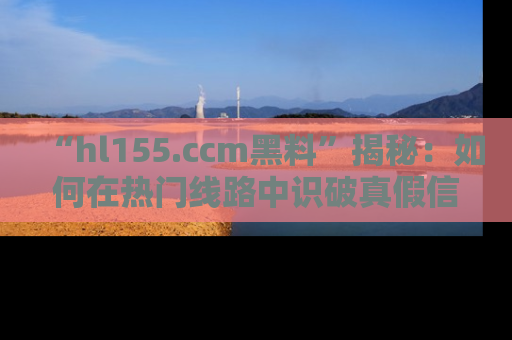 “hl155.ccm黑料”揭秘:如何在热门线路中识破真假信息