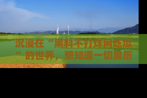 沉浸在“黑料不打烊网吃瓜”的世界，想知道一切黑历史与内幕信息的网站！