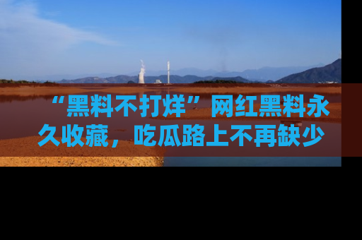 “黑料不打烊”网红黑料永久收藏,吃瓜路上不再缺少惊喜与乐趣