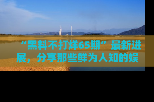 “黑料不打烊65期”最新进展,分享那些鲜为人知的娱乐八卦