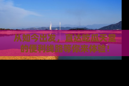 从如今出发，直达吃瓜天堂的便利线路等你来体验！