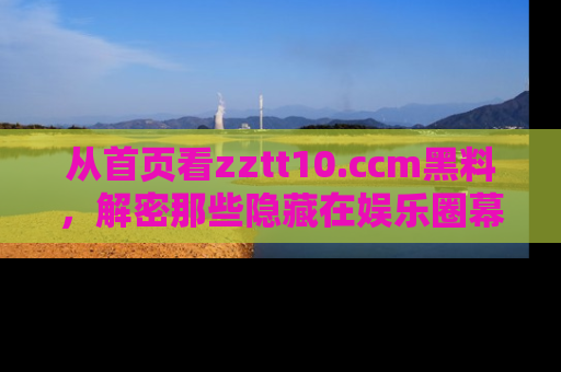 从首页看zztt10.ccm黑料，解密那些隐藏在娱乐圈幕后的丑闻故事！