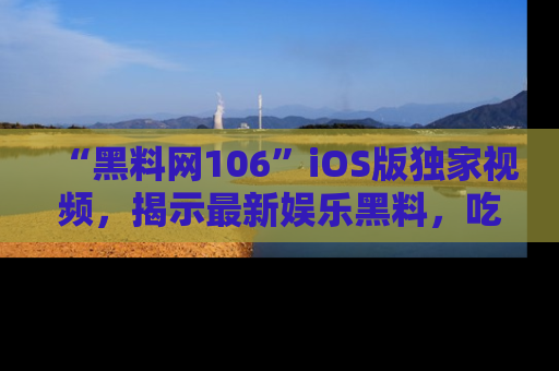 “黑料网106”iOS版独家视频,揭示最新娱乐黑料,吃瓜不停!
