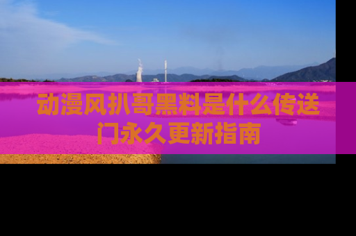 动漫风扒哥黑料是什么传送门永久更新指南