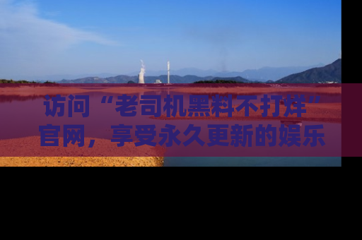 访问“老司机黑料不打烊”官网，享受永久更新的娱乐八卦和内幕新闻！
