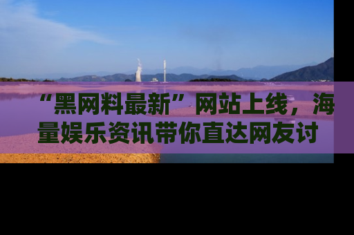 “黑网料最新”网站上线,海量娱乐资讯带你直达网友讨论的中心!