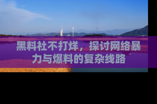 黑料社不打烊，探讨网络暴力与爆料的复杂线路