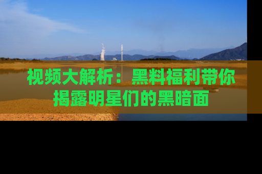 视频大解析：黑料福利带你揭露明星们的黑暗面
