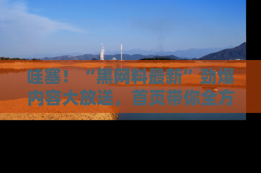 哇塞!“黑网料最新”劲爆内容大放送,首页带你全方位了解哦,小可爱们