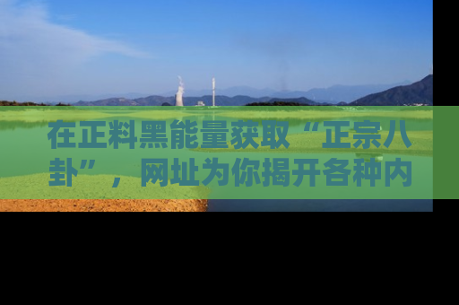 在正料黑能量获取“正宗八卦”,网址为你揭开各种内幕故事!