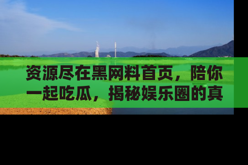 资源尽在黑网料首页,陪你一起吃瓜,揭秘娱乐圈的真实内幕