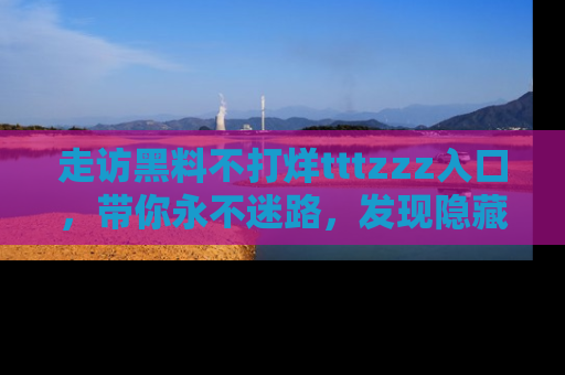 走访黑料不打烊tttzzz入口,带你永不迷路,发现隐藏的黑幕