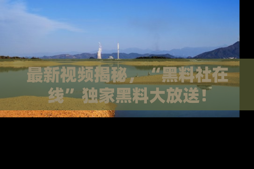 最新视频揭秘,“黑料社在线”独家黑料大放送!
